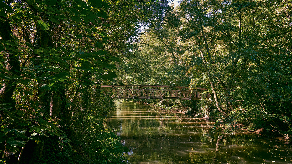 Kleine Brücke über Bach © Umweltamt, Stefan Cop Kleine Brücke über Bach © Umweltamt, Stefan Cop