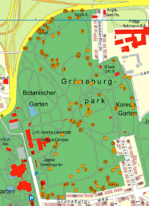 Kartierung Höhlenbäume: © Institut für Tierökologie und Naturbildung, Geobasisdaten: © Stadtvermessungsamt Frankfurt am Main