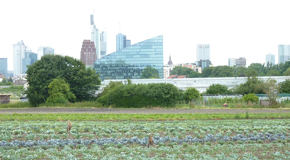 © Frankfurt am Main, Umweltamt