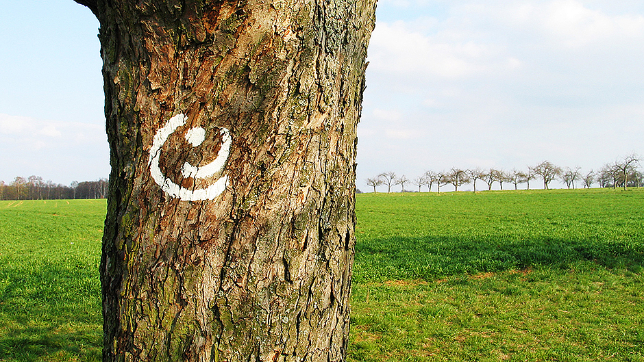 Baum mit GrünGürtel-Logo © Stefan Cop