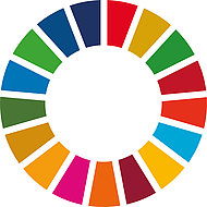 SDG Farbenrad SDG Farbenrad