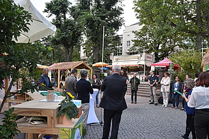 © Umweltamt Stadt Frankfurt am Main