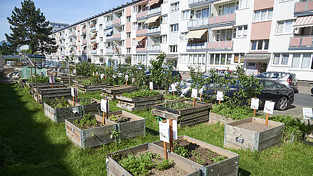 Urban Gardening © Stefan Cop Urban Gardening © Stefan Cop