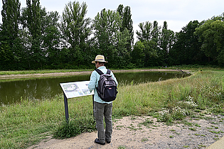© Umweltamt Frankfurt am Main, Foto: Jacqueline Monz