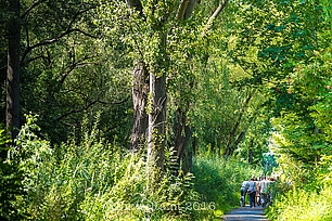 Der wilder Sonntag: Veranstaltung am Fechenheimer Mainbogen. © Stadt Frankfurt am Main, Umweltamt, Foto: Eckhard Krumpholz