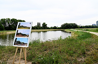 © Umweltamt Frankfurt am Main, Foto: Jacqueline Monz