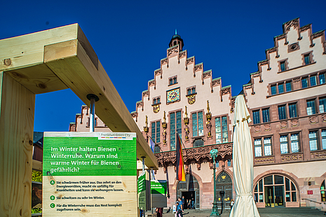 © Umweltamt Stadt Frankfurt am Main, Foto: Eckhard Krumpholz