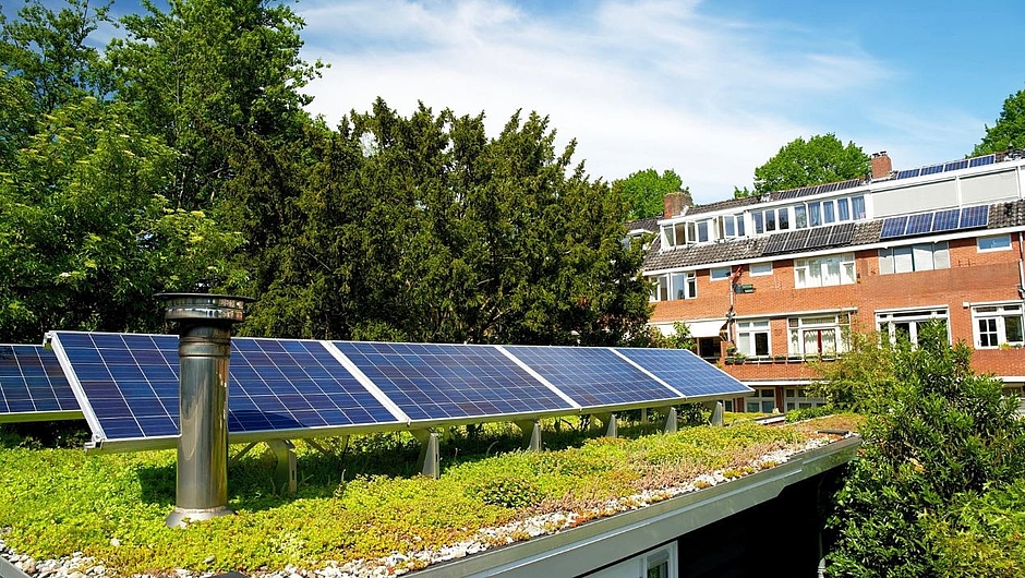 Solarpanels und Dachbegrünung © Stadt Frankfurt am Main, Foto AdobeStock - René Notenbomer