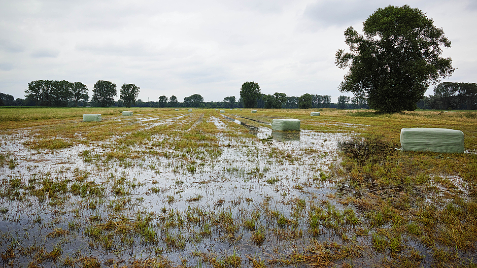 Hochwasser auf Feld © Foto: AdobeStock Hochwasser auf Feld © Foto: AdobeStock