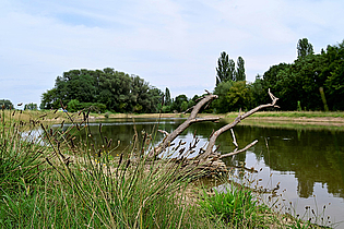 © Umweltamt Frankfurt am Main, Foto: Jacqueline Monz