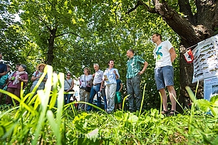Der wilder Sonntag: Veranstaltung am Fechenheimer Mainbogen. © Stadt Frankfurt am Main, Umweltamt, Foto: Eckhard Krumpholz