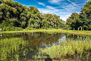 Der wilder Sonntag: Veranstaltung am Fechenheimer Mainbogen. © Stadt Frankfurt am Main, Umweltamt, Foto: Eckhard Krumpholz