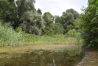 © Umweltamt Frankfurt am Main, Foto: Stella Marraccini