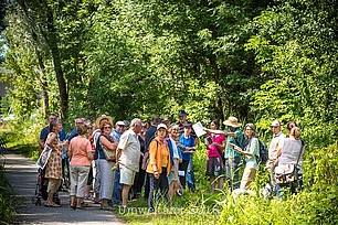 Der wilder Sonntag: Veranstaltung am Fechenheimer Mainbogen. © Stadt Frankfurt am Main, Umweltamt, Foto: Eckhard Krumpholz