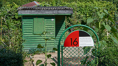 Migges Schrebergarten © Stefan Cop Migges Schrebergarten © Stefan Cop