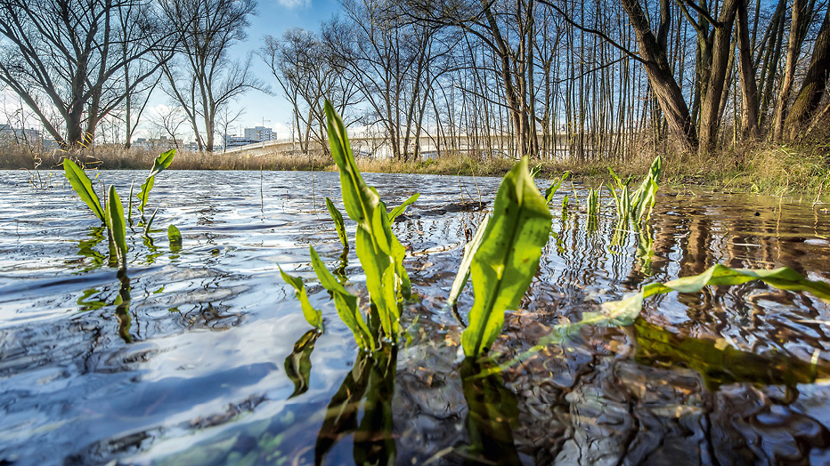 © Umweltamt, Foto: Eckhard Krumpholz