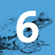 Amphibien Amphibien